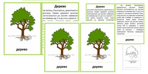 Набор ботаника (украинский язык)